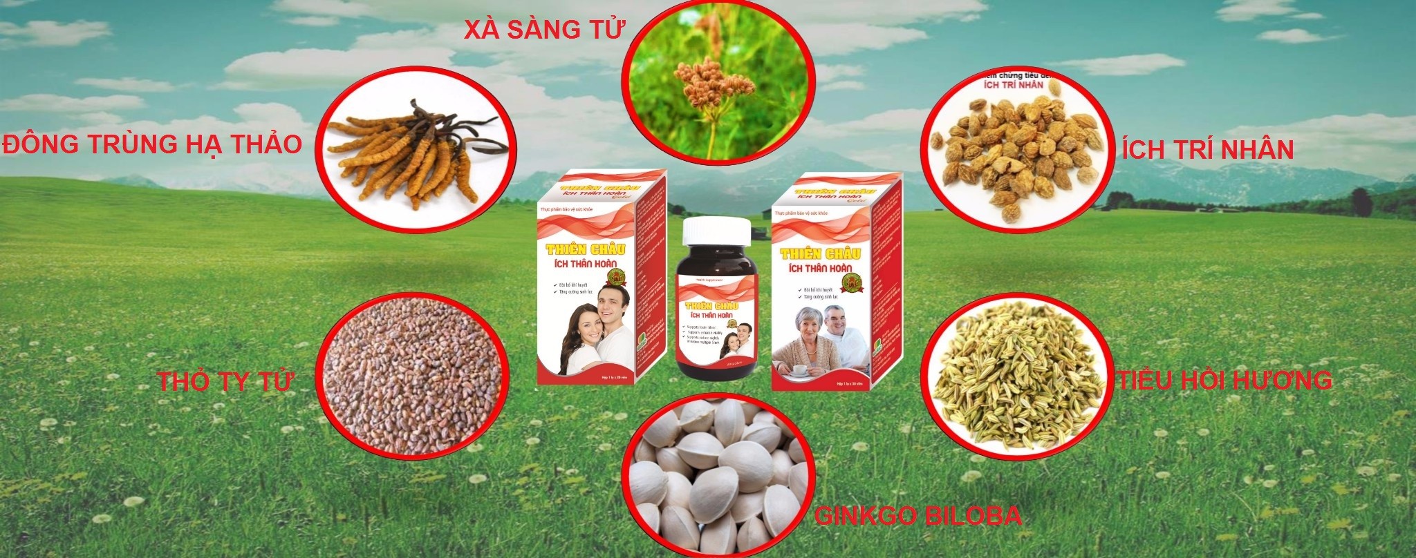 thiên châu ích thận hoàn gold bổ thận, hết tiểu đêm, tăng cường sinh lý