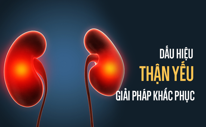 Káº¿t quáº£ hÃ¬nh áº£nh cho tháº­n yáº¿u lÃ  gÃ¬