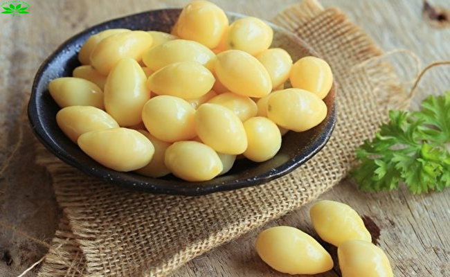 Những trường hợp không nên dùng Ginkgo Biloba