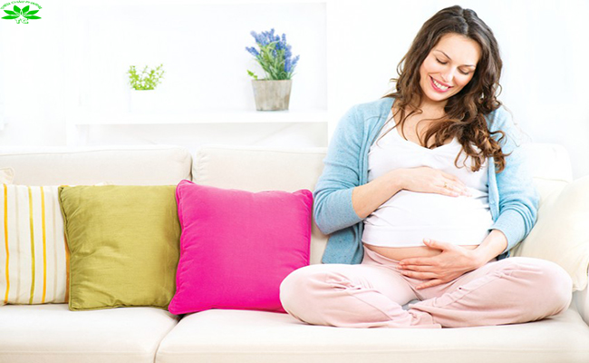 Những trường hợp không nên dùng Ginkgo Biloba