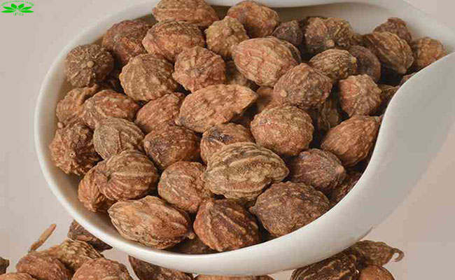 Dứt điểm chứng tiểu đêm nhiều lần nhờ Ích Trí Nhân
